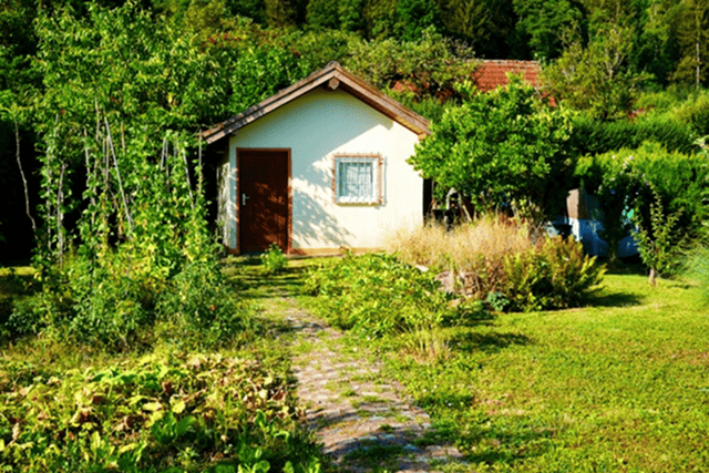 雑草の手入れに悩む住宅の庭