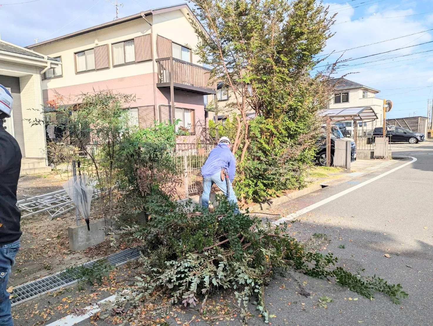 【鈴鹿市・伐採】ご自宅の木の伐採｜即日対応・無料見積り